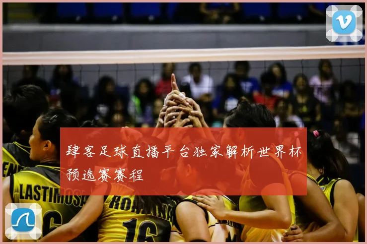 肆客足球直播平台独家解析世界杯预选赛赛程