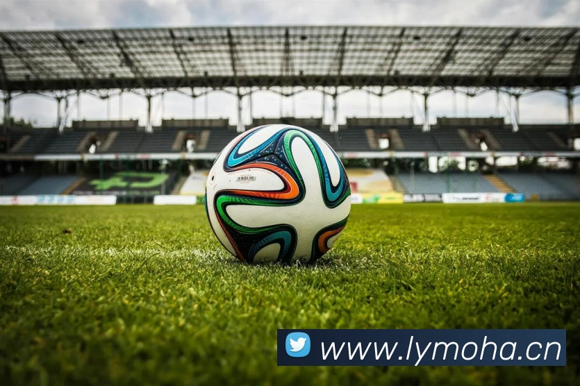 完美体育在线登录入口发展历程